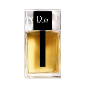 DIOR HOMME-DIOR 100 ML EDT